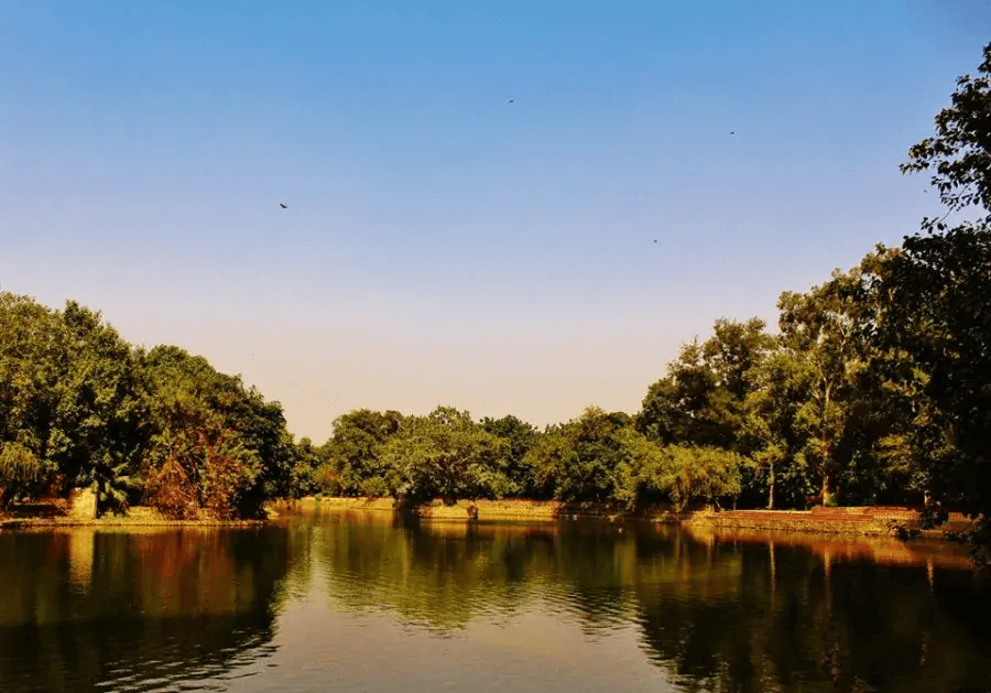 Prasad Nagar Lake