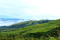 1n-2d-chikmagalur-tour-package
