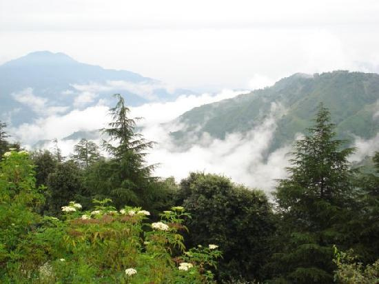 2n-3d-chail-tour-package-from-delhi