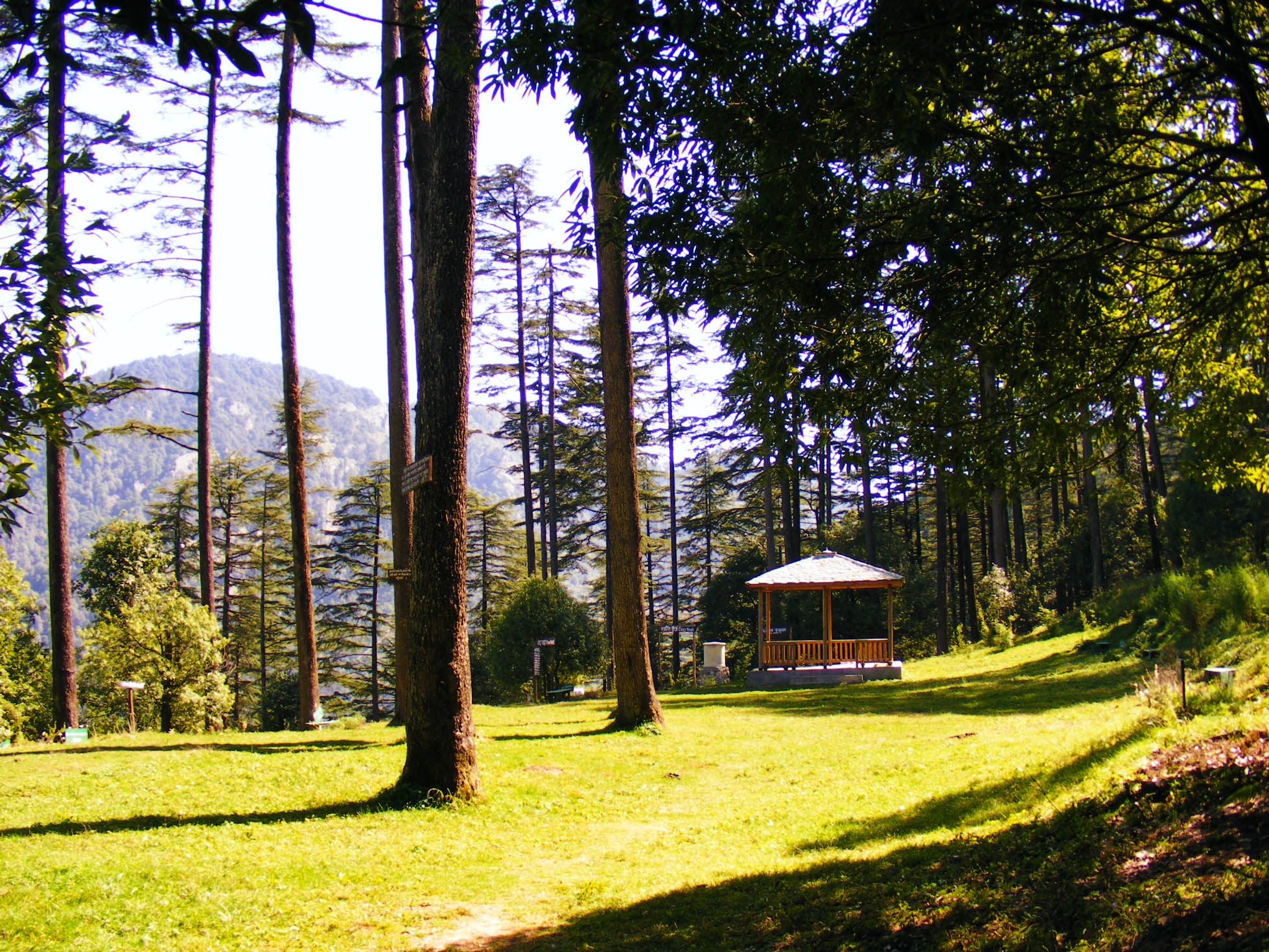 2n-3d-dhanaulti-tour-package-from-delhi