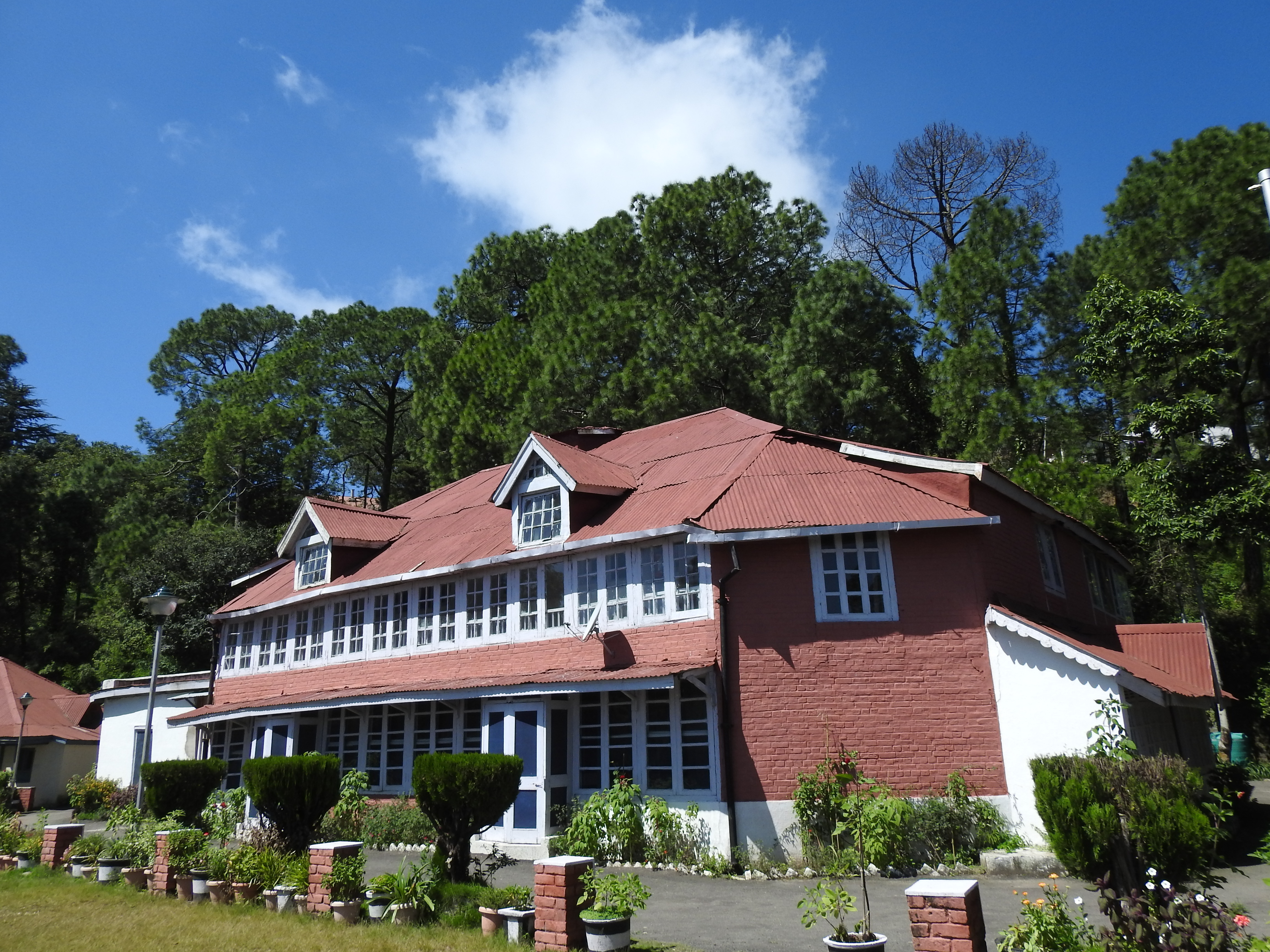3d-2n-kasauli-trip-package-from-delhi
