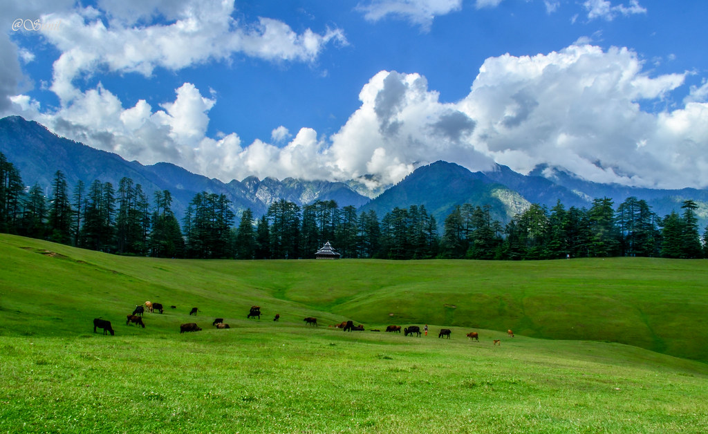 5-days-4-nights-jibhi-tirthan-valley-tour-package-from-delhi